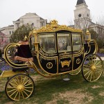 Horse Carriage Manufacturer - Wedding Park Tour Carriage