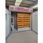 Industrial Incubator Factory - High Productivity Machine