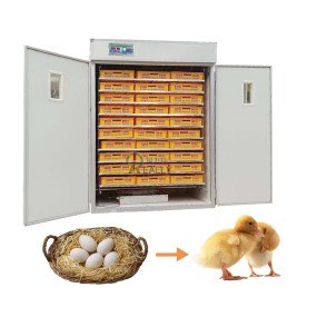 Egg Incubator Manufacturer - Professional Hatchery