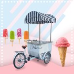 Food Tricycle Manufacturer - Electric Popsicle Freezer Bike