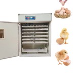 Industrial Incubator Factory - High Productivity Machine