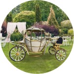 Horse Carriage Manufacturer - Romantic Dream Carriage