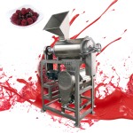 Screw Juicer Factory - 304 Stainless Steel Crusher