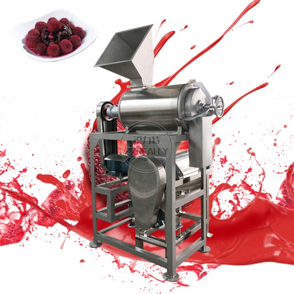 Screw Juicer Factory - 304 Stainless Steel Crusher