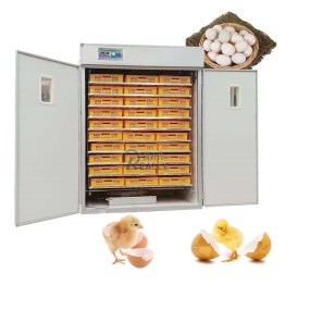 Feed Pellet Machine Factory - Automatic Dog Food Extruder