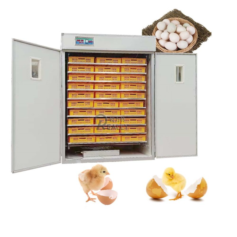 Feed Pellet Machine Factory - Automatic Dog Food Extruder