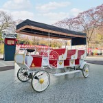 Wedding Carriage Manufacturer - Golden Horse Drawn Vehicle