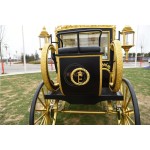 Electric Carriage Factory - Classical Soft Seat Carriage