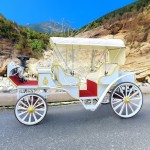 Horse Carriage Factory - Exclusive Cinderella Carriage