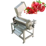 Cold Press Manufacturer - Carrot Juice Extractor