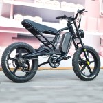 Electric Bicycle Manufacturer - 1000W Fat Tire Snow Bike
