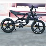 Electric Bicycle Manufacturer - 1000W Fat Tire Snow Bike