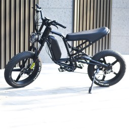 Electric Bicycle Manufacturer - 1000W Fat Tire Snow Bike