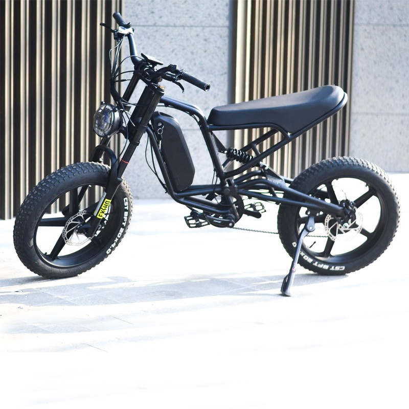 Electric Bicycle Manufacturer - 1000W Fat Tire Snow Bike