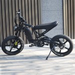 Electric Bicycle Manufacturer - 1000W Fat Tire Snow Bike
