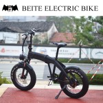 Electric Bike Factory - 48V 500W Hidden Battery Fat Tire