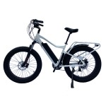 Ebike Manufacturer - 48V 750W Motorized Bicycle