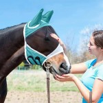 Fly Mask Manufacturer - Summer Mosquito Protection