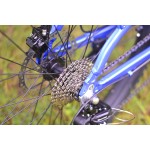 Electric Bike Manufacturer - Mid Drive Motor Ebike