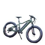 Ebike Factory - Cheap Price Mountain Snow Ebike