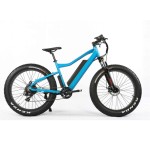 Ebike Manufacturer - 48V 750W Motorized Bicycle