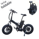 Electric Bike Manufacturer - 16 Inch Small Folding Fat Bike
