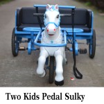 Kids Bike Factory - Racing Horse Sulky Bike