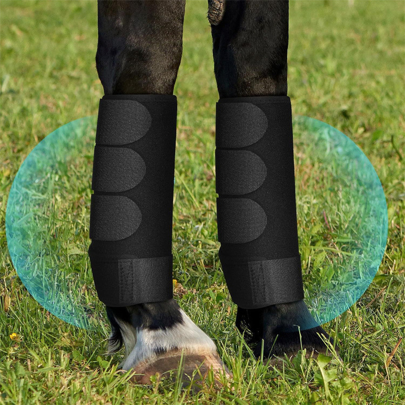 Horse Boots Manufacturer - Anti-Collision Legging Boots