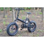Ebike Factory - 20 Inch 1000W Folding Fat Tire