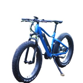 Electric Bike Manufacturer - Big Tire Fat Ebike