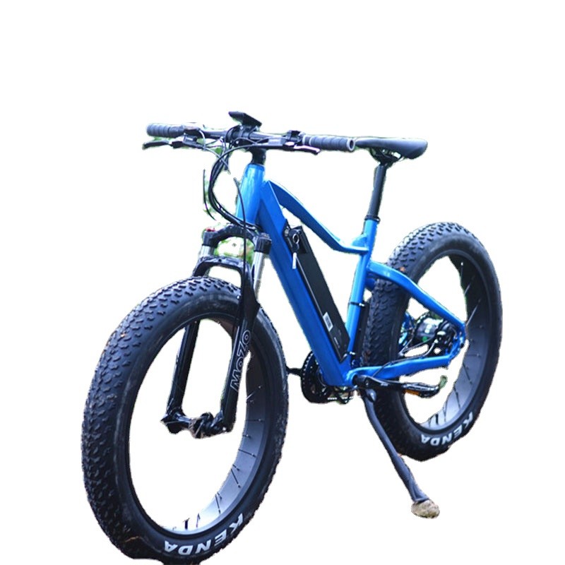 Electric Bike Manufacturer - Big Tire Fat Ebike