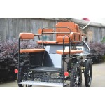 Horse Carriage Factory - Professional Marathon Carriage