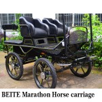 Horse Carriage Factory - Double Driving Seat Carriage