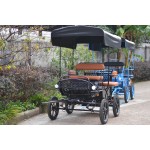Horse Carriage Manufacturer - Folding Canopy Pony Carriage