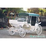 Carriage Wheel Factory - 3.00-23 Marathon Wheel