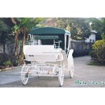 Electric Carriage Manufacturer - Battery Powered Cinderella