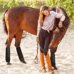 Horse Boots Manufacturer - Anti-Collision Legging Boots