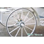 Horse Carriage Manufacturer - White Cinderella Carriage