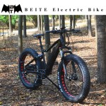 Electric Road Bike Manufacturer - 48V 1000W Road Bike