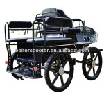 Horse Carriage Manufacturer - Marathon Training Carriage