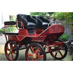 Horse Carriage Factory - Double Driving Seat Carriage