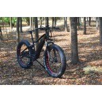 Electric Bike Manufacturer - 48V 1000W MTB Fat Tire