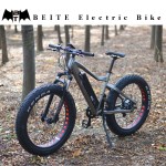 Ebike Factory - Cheap Price Mountain Snow Ebike
