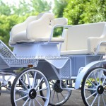 Horse Carriage Factory - Steel Sightseeing Wagon