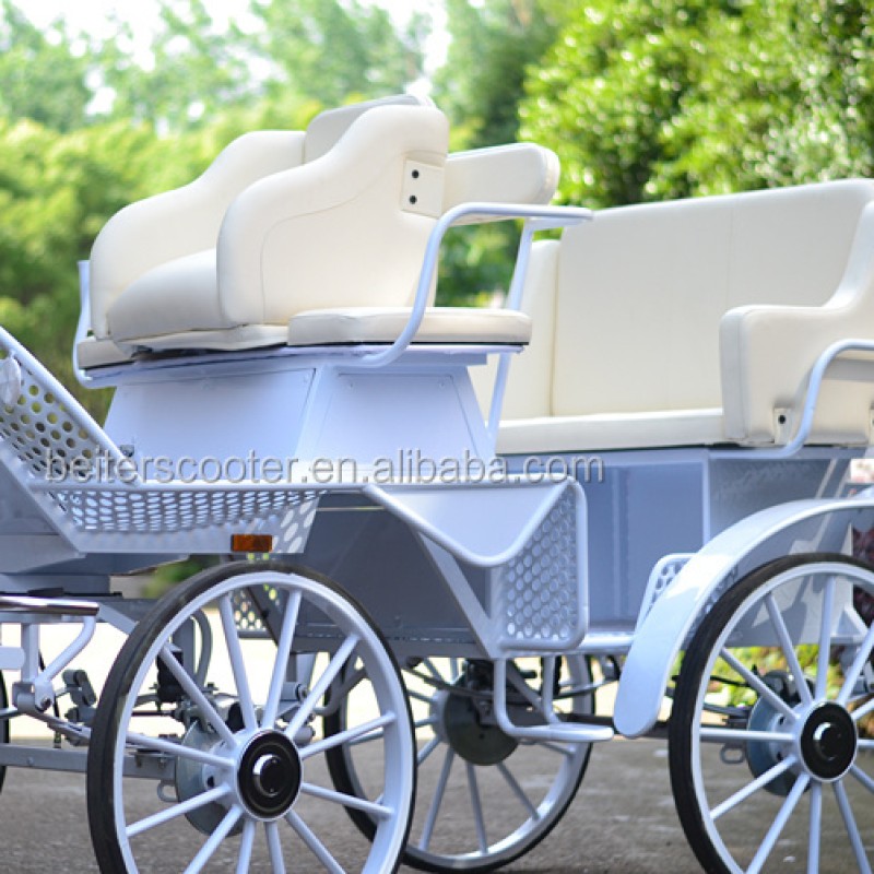 Horse Carriage Factory - Steel Sightseeing Wagon