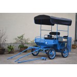 Horse Carriage Manufacturer - Folding Canopy Pony Carriage