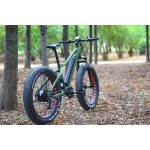 Electric Bike Manufacturer - 48V 1000W MTB Fat Tire