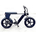 Electric Bike Manufacturer - Big Flat Seat Ebike