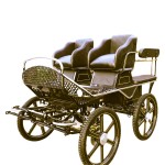 Horse Carriage Factory - Double Driving Seat Carriage