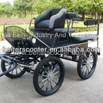 Horse Carriage Manufacturer - Marathon Training Carriage